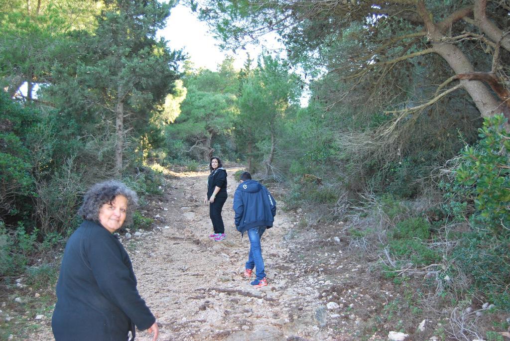 Andreas Katsaros Villas Volímai エクステリア 写真